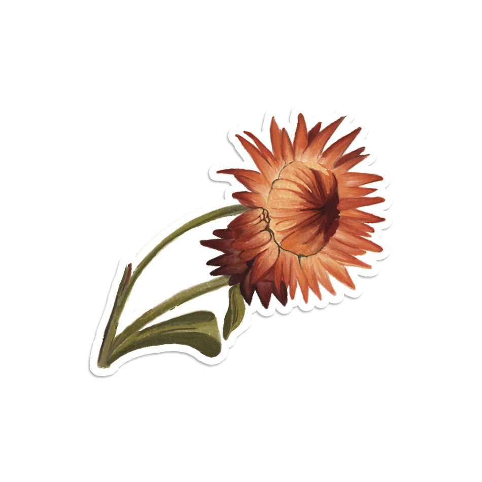 The Orange Floral Sticker