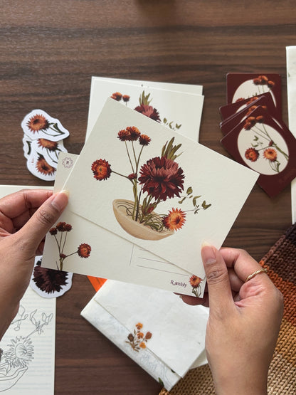 Second Edition // Catch up Mail